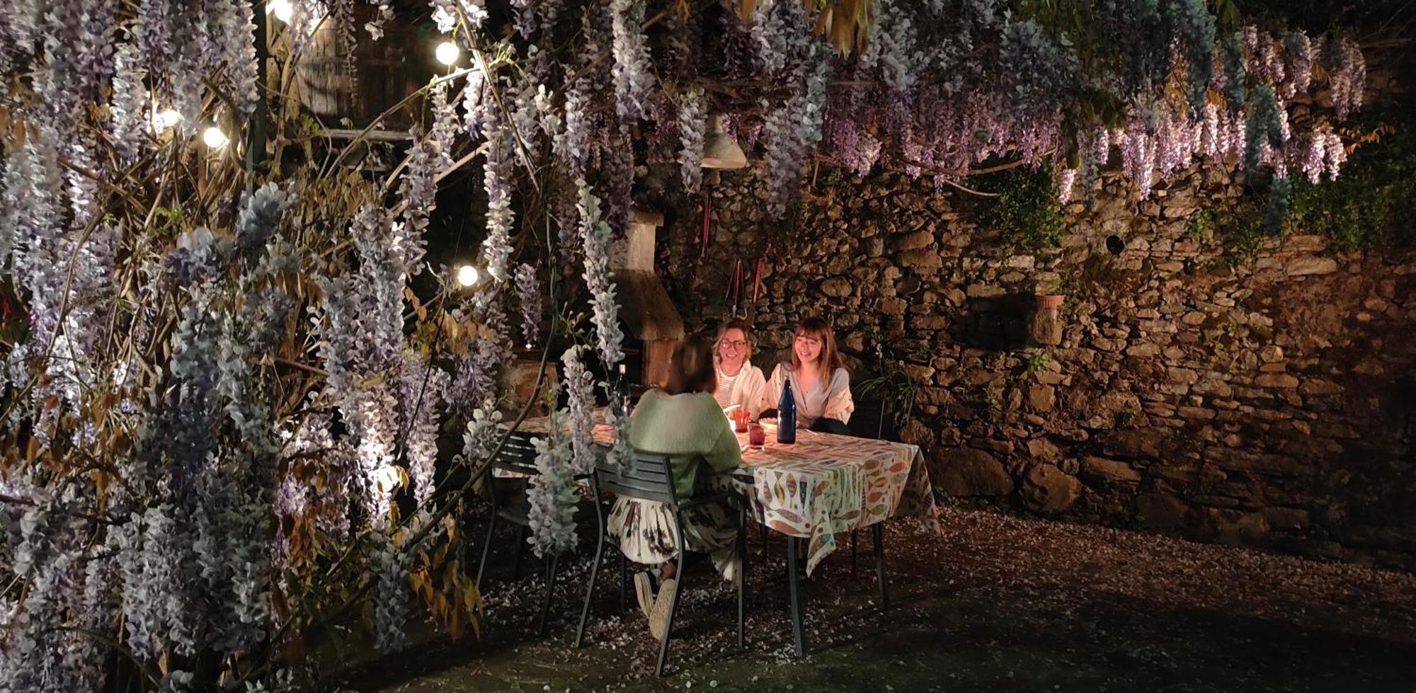 La Casa Delle Pietre Parlanti - Casa In Pietra Ai Piedi Del Parco Delle 5 Terre Bed and Breakfast Biassa Buitenkant foto